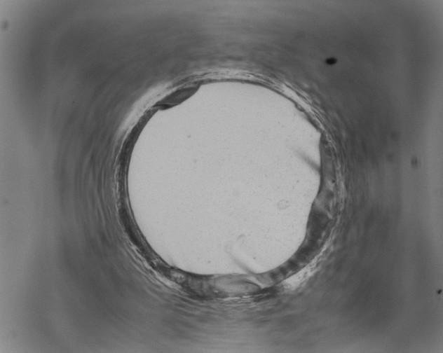 X0000067480199200605051721