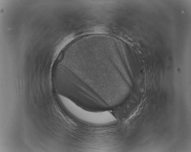 X0000067480200200605051721