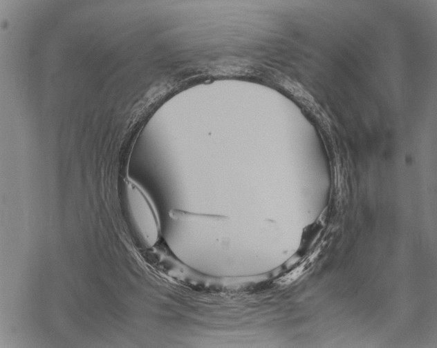 X0000067480201200605051721