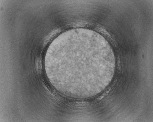 X0000067480202200605051721