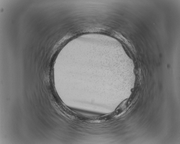 X0000067480203200605051721