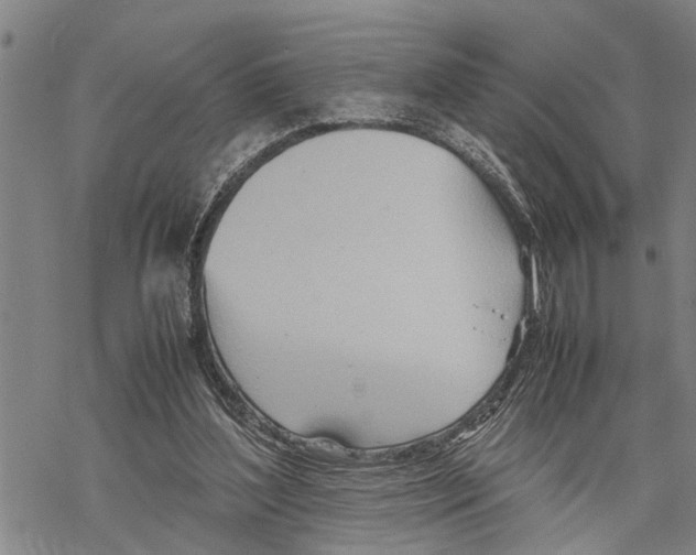 X0000067480204200605051721