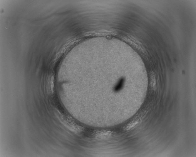 X0000067480206200605051721