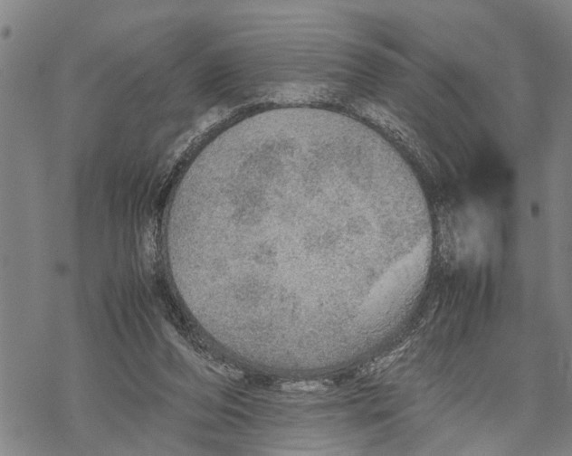 X0000067480208200605051721