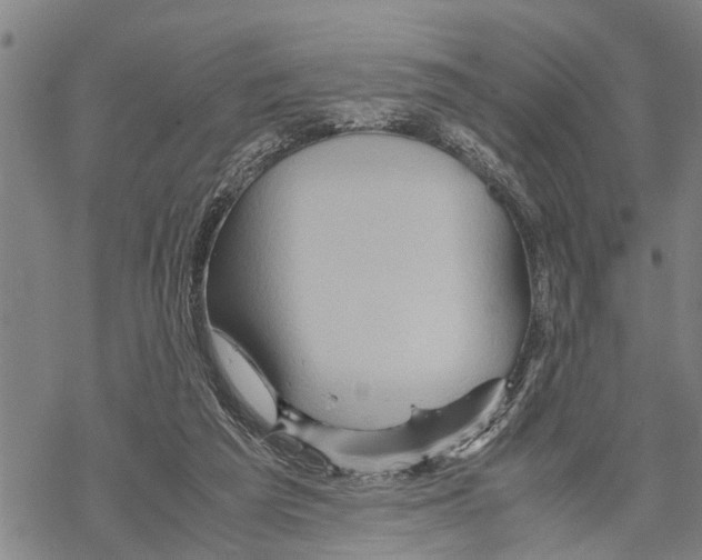 X0000067480209200605051721