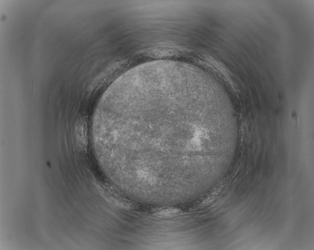 X0000067480210200605051721