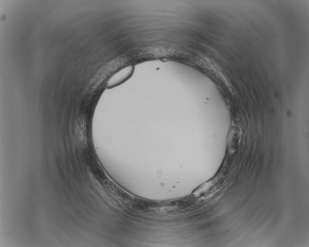 X0000067480212200605051721