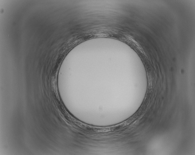 X0000067480213200605051721