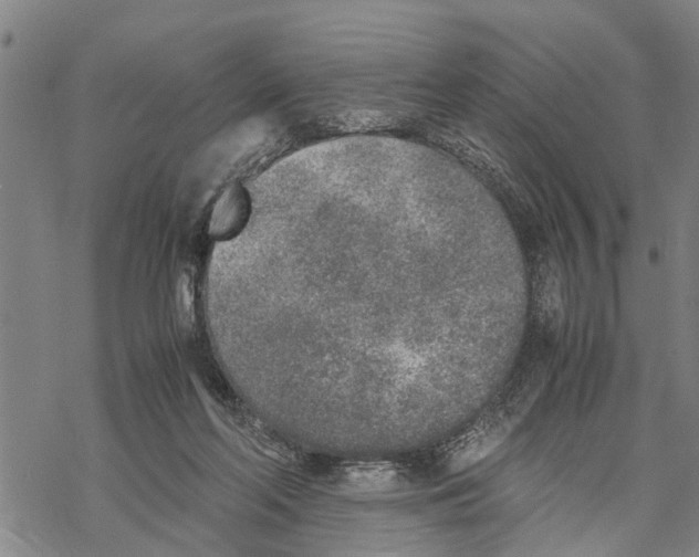 X0000067480214200605051720