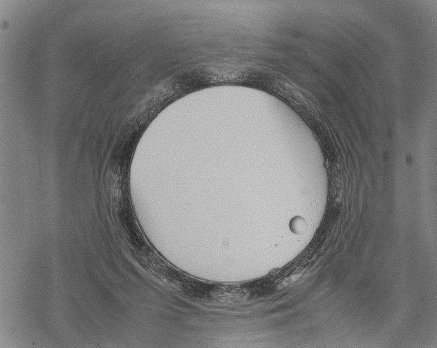 X0000067480215200605051720