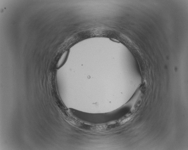 X0000067480217200605051720