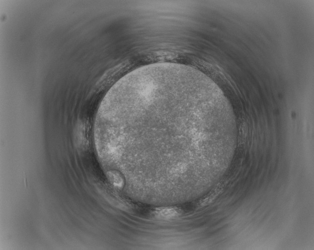 X0000067480218200605051720