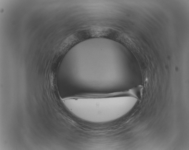 X0000067480219200605051720