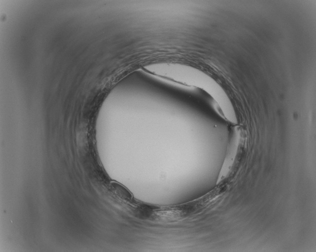 X0000067480221200605051720