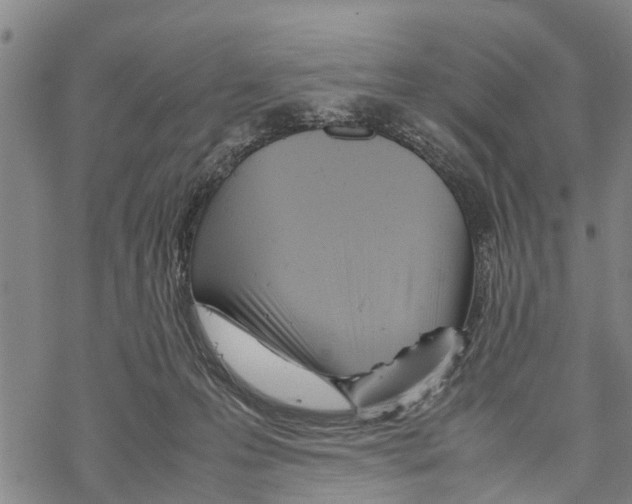 X0000067480223200605051720