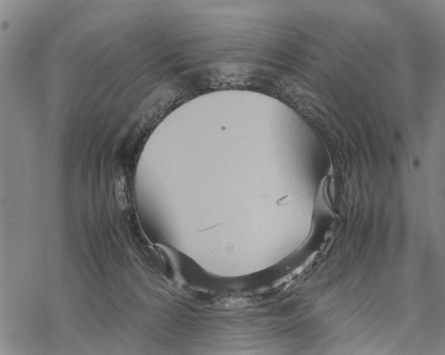 X0000067480224200605051720