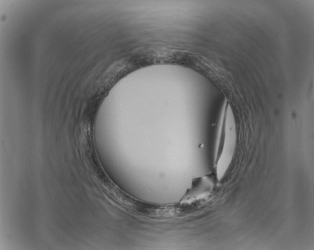 X0000067480225200605051720