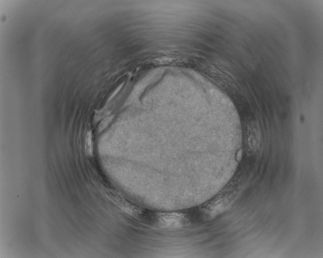 X0000067480226200605051720