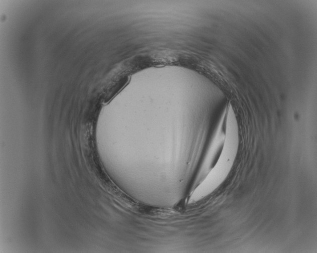 X0000067480229200605051720