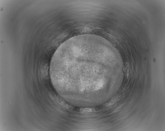 X0000067480230200605051720