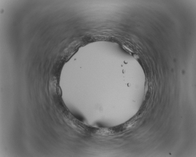 X0000067480231200605051720