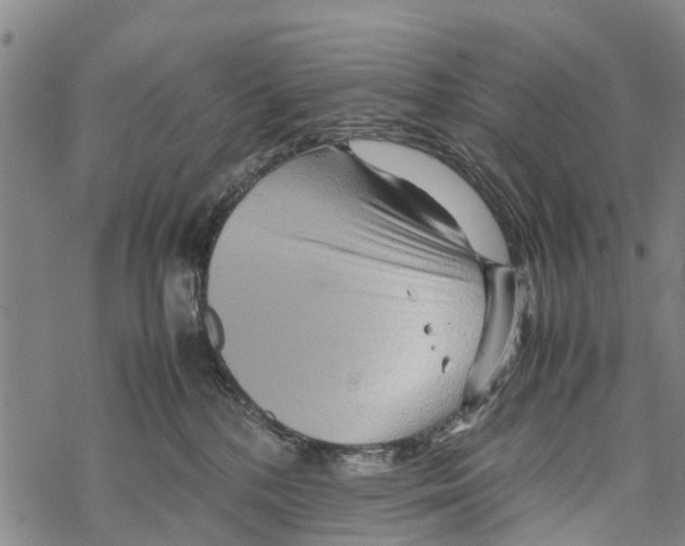 X0000067480232200605051720