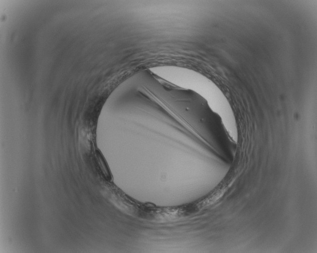 X0000067480235200605051720