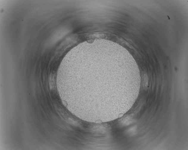 X0000067480236200605051720