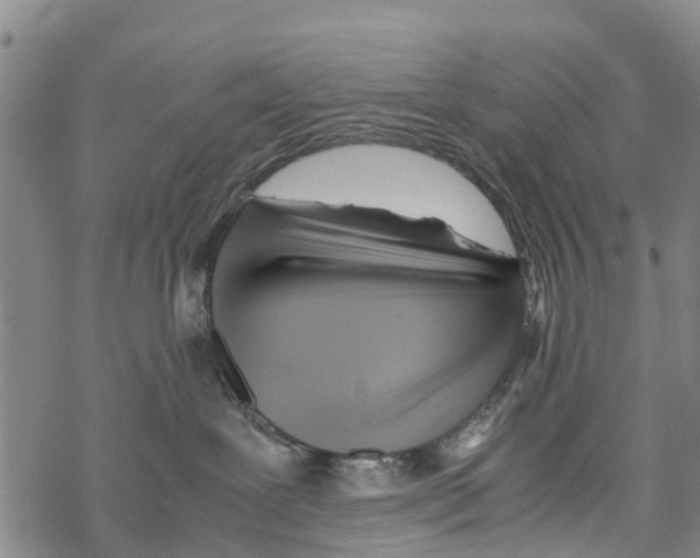 X0000067480239200605051720