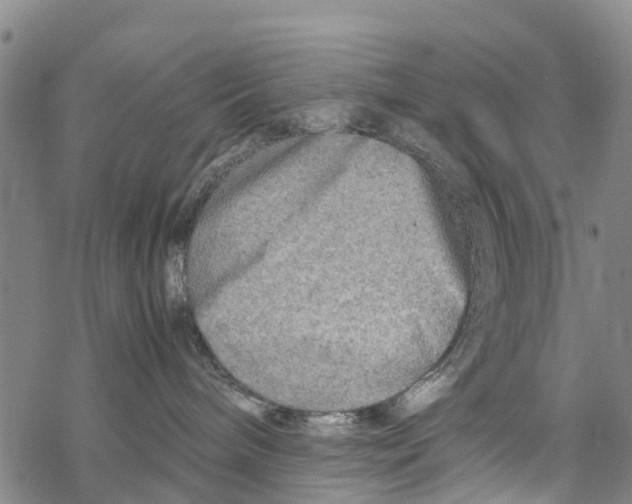 X0000067480240200605051720