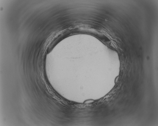 X0000067480241200605051719