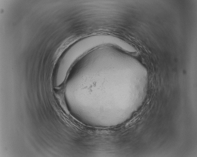 X0000067480242200605051719