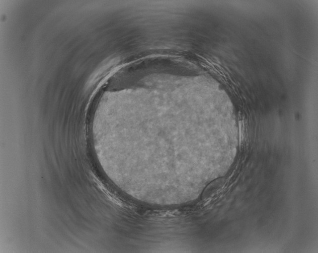 X0000067480243200605051719