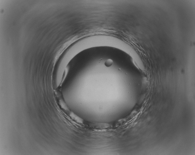 X0000067480244200605051719