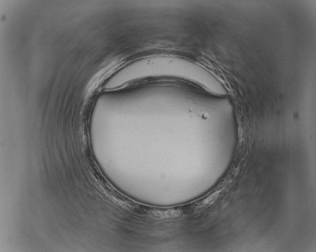 X0000067480245200605051719