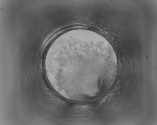 X0000067480247200605051719