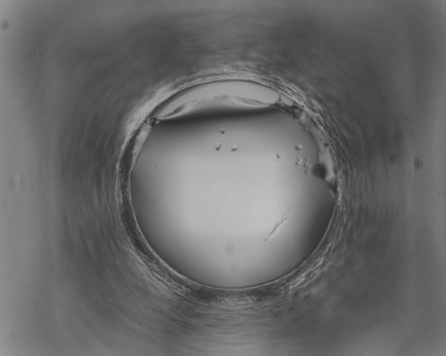 X0000067480248200605051719