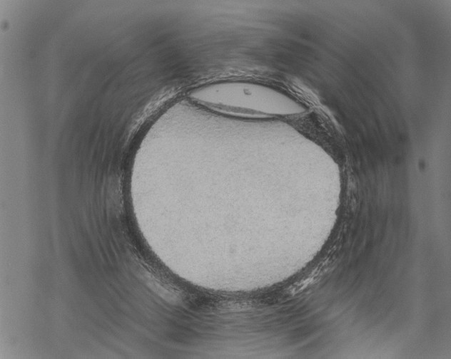 X0000067480250200605051719