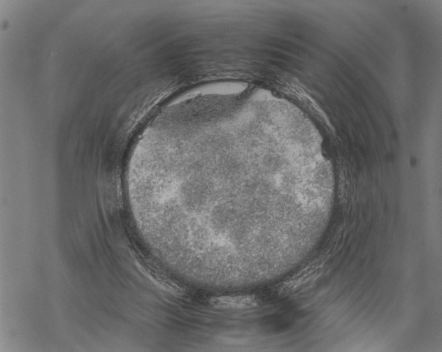 X0000067480251200605051719