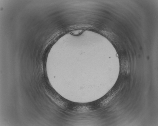 X0000067480254200605051719