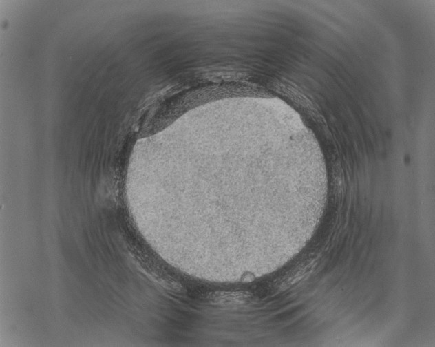 X0000067480255200605051720