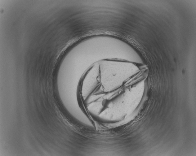 X0000067480256200605051720