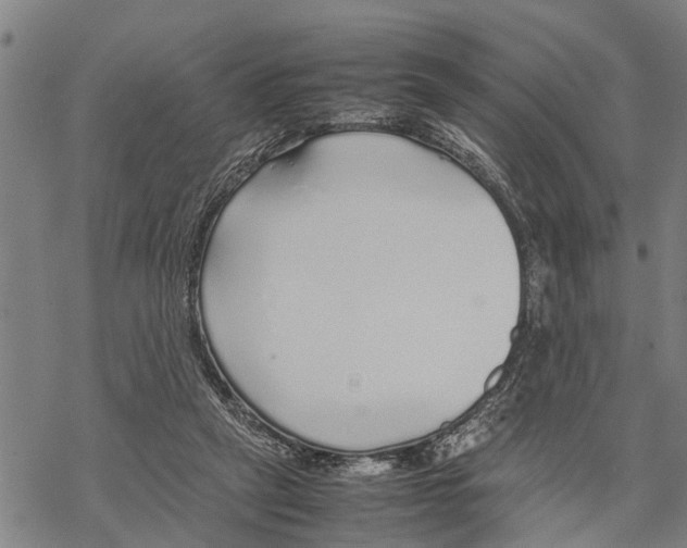 X0000067480257200605051720