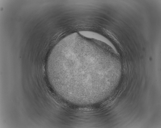 X0000067480259200605051720