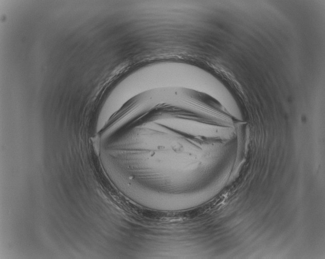 X0000067480260200605051720