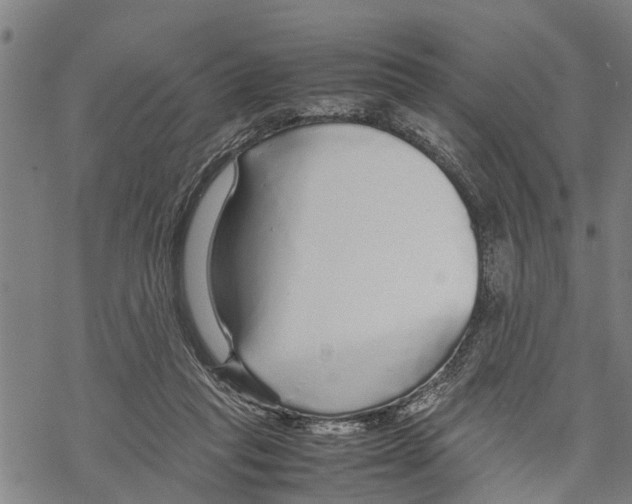 X0000067480261200605051720