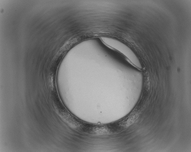 X0000067480262200605051720