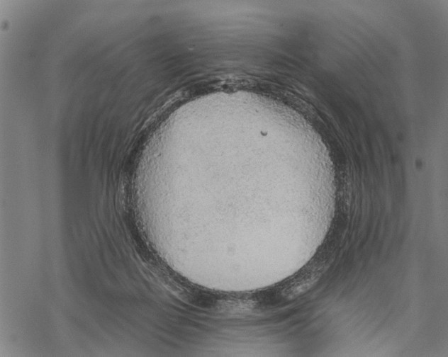 X0000067480266200605051720