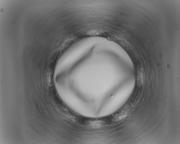 X0000067480268200605051720