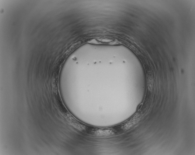 X0000067480270200605051720